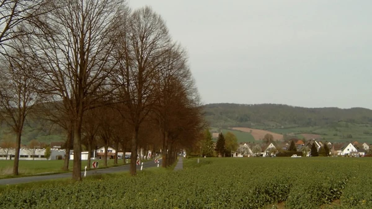 Stadtansicht von Bevern